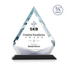 Apex VividPrint™ Award