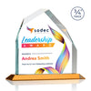 Austere Peak VividPrint™ Award