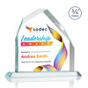 Austere Peak VividPrint™ Award