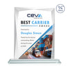 Messina VividPrint™ Award