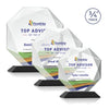 Bradford VividPrint™ Award