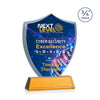 Scudo Shield VividPrint™ Award on Newhaven