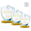 Scudo Shield VividPrint™ Award on Alberton Base