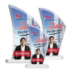 Agassi VividPrint™ Award