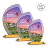 Wichita VividPrint™ Award