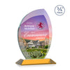 Wichita VividPrint™ Award