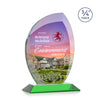 Wichita VividPrint™ Award