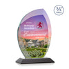 Wichita VividPrint™ Award