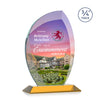 Wichita VividPrint™ Award