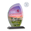 Wichita VividPrint™ Award
