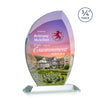 Wichita VividPrint™ Award