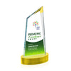 Sandown VividPrint™ Award on Alberton Base