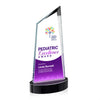 Sandown VividPrint™ Award on Alberton Base
