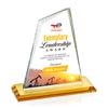 Summit VividPrint™ Award