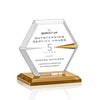 Barnett VividPrint™ Award
