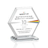 Barnett VividPrint™ Award