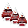 Charlotte VividPrint™ Award