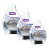 Romy VividPrint™ Award