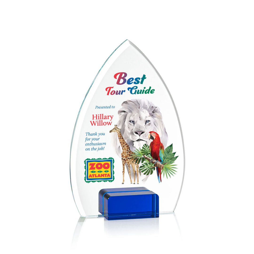 Aylin VividPrint™ Award