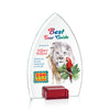 Aylin VividPrint™ Award