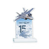 Top Gun VividPrint™ Award