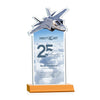 Top Gun VividPrint™ Award