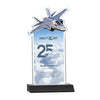 Top Gun VividPrint™ Award