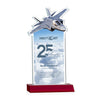 Top Gun VividPrint™ Award