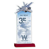 Top Gun VividPrint™ Award