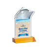 Voyager VividPrint™ Award