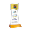 Flag VividPrint™ Award