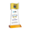 Flag VividPrint™ Award
