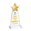 Starlite VividPrint™ Award