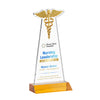 Caduceus VividPrint™ Award