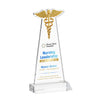 Caduceus VividPrint™ Award
