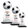 Edenwood Soccer VividPrint™ Award