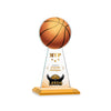 Edenwood Basketball VividPrint™ Award