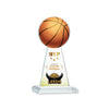 Edenwood Basketball VividPrint™ Award