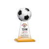 Edenwood Soccer VividPrint™ Award