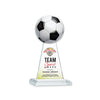 Edenwood Soccer VividPrint™ Award