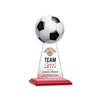 Edenwood Soccer VividPrint™ Award