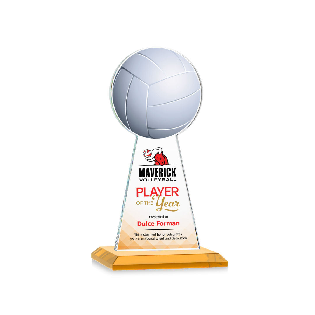 Edenwood Volleyball VividPrint™ Award