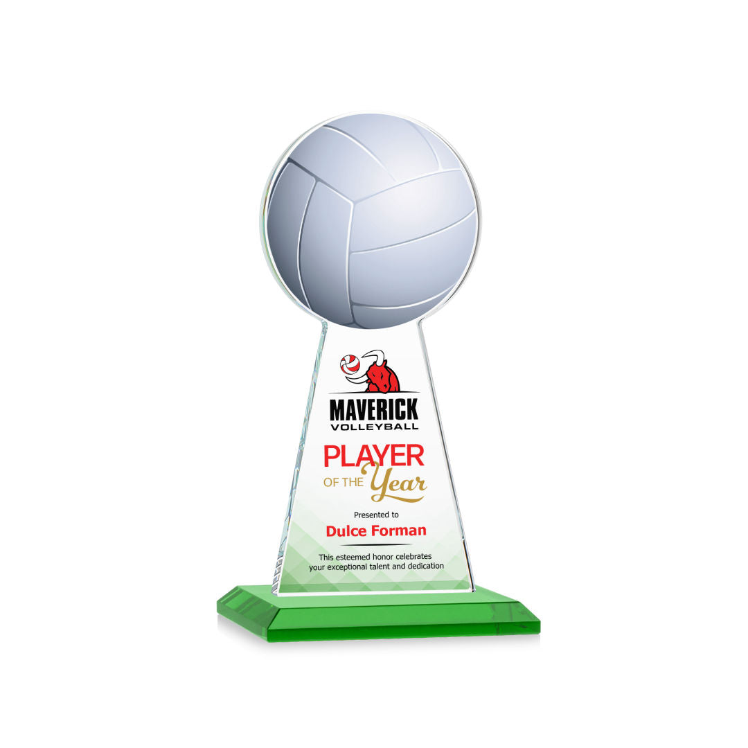 Edenwood Volleyball VividPrint™ Award