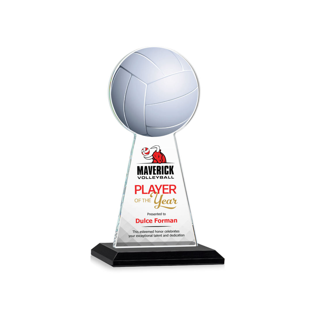 Edenwood Volleyball VividPrint™ Award