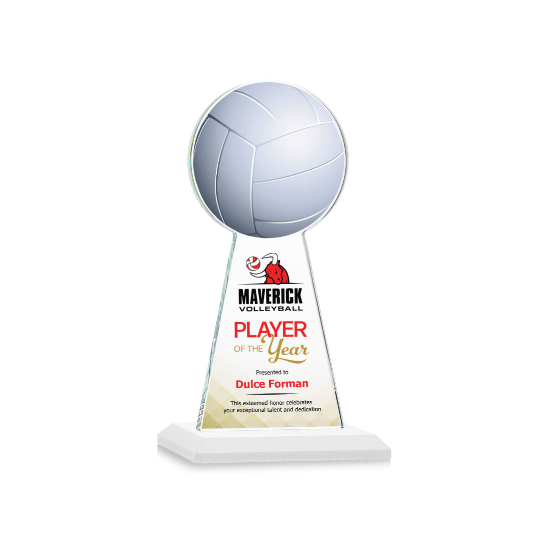 Edenwood Volleyball VividPrint™ Award
