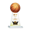 Edenwood Basketball VividPrint™ Award