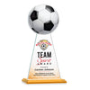 Edenwood Soccer VividPrint™ Award