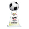Edenwood Soccer VividPrint™ Award