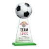 Edenwood Soccer VividPrint™ Award