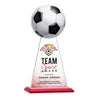 Edenwood Soccer VividPrint™ Award